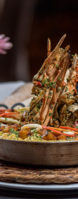 FOTOGRAFÍA DE PRODUCTO